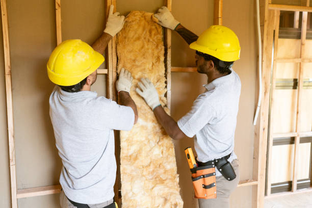 Best Insulation Contractors for Homes  in Menands, NY